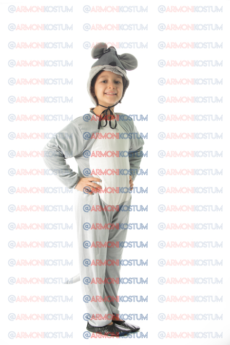 TLG_2537-copyA